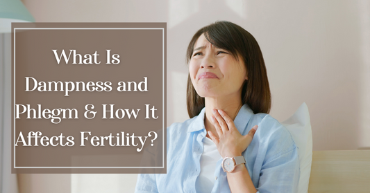 What is dampness and phlegm and how it affects fertility?