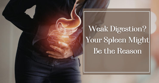 Weak Digestion? Your Spleen Might Be the Reason