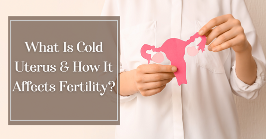 Understanding Cold Uterus: How TCM Can Help Improve Fertility and Menstrual Health?