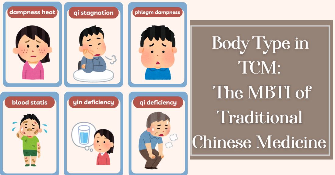 Discover Your TCM Body Constitution – The MBTI of Traditional Chinese Medicine